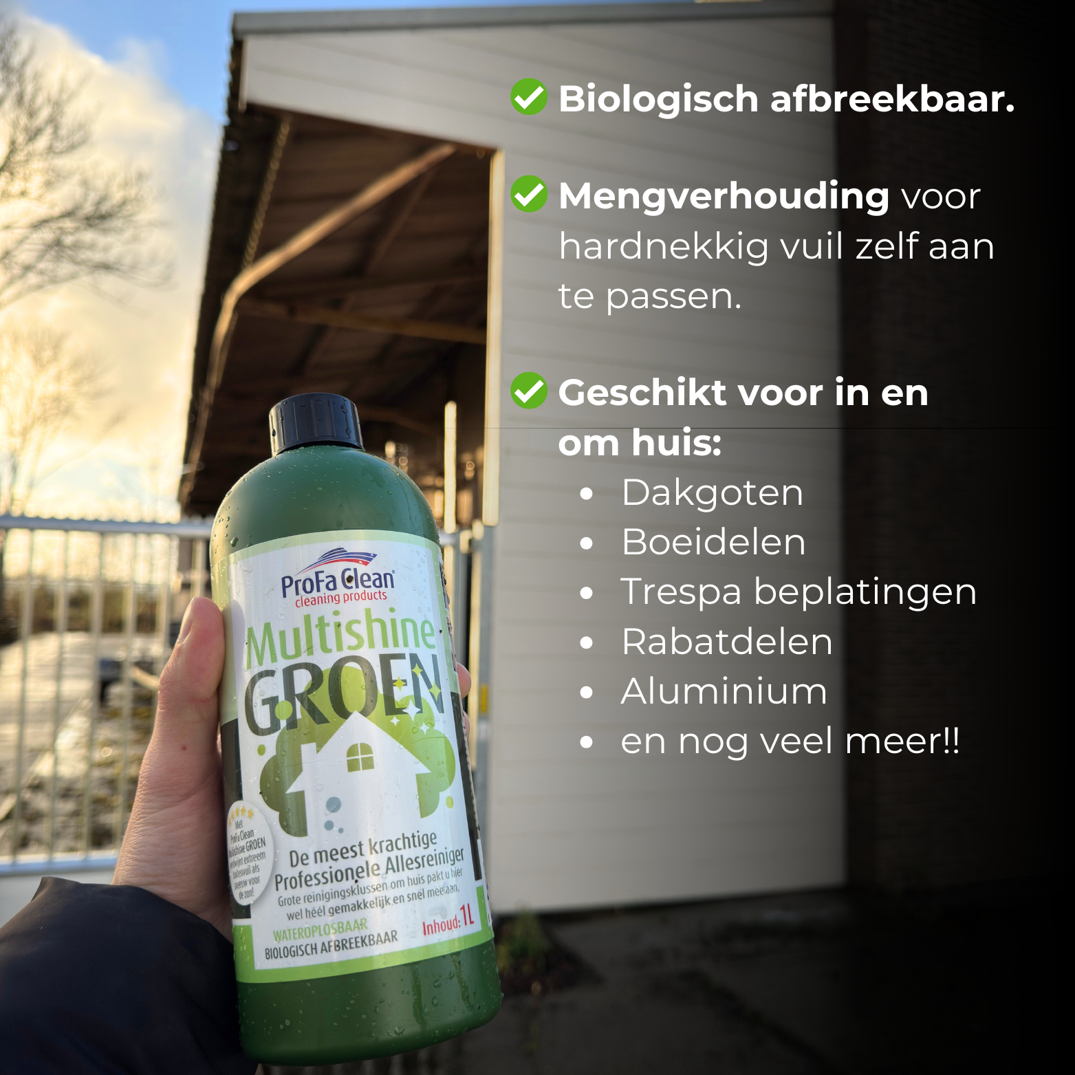 Multishine GROEN 20L