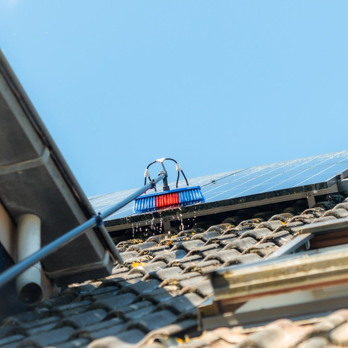 (NEW) Telemax - Startpakket