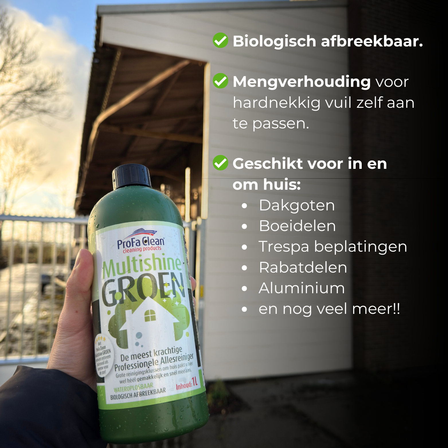 Multishine Green (1L) - In & Around House